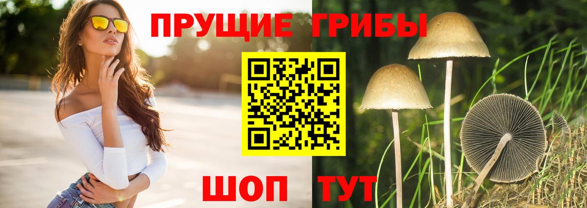 Петропавловск-Камчатский  Галлюциногенные грибы ЛСД  Галлюциногенные грибы мухоморы  Вход с VPN 